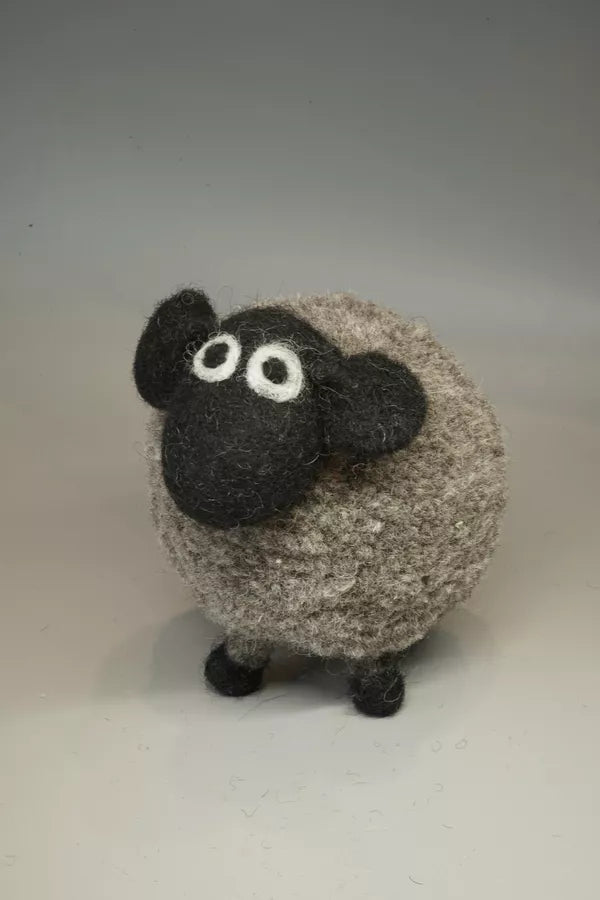 Derek the Domestic Sheep