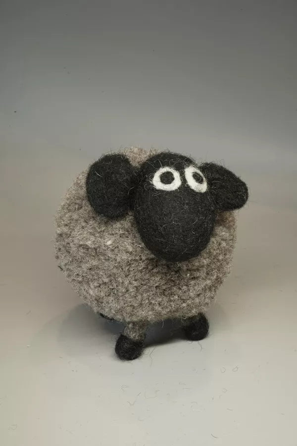 Derek the Domestic Sheep