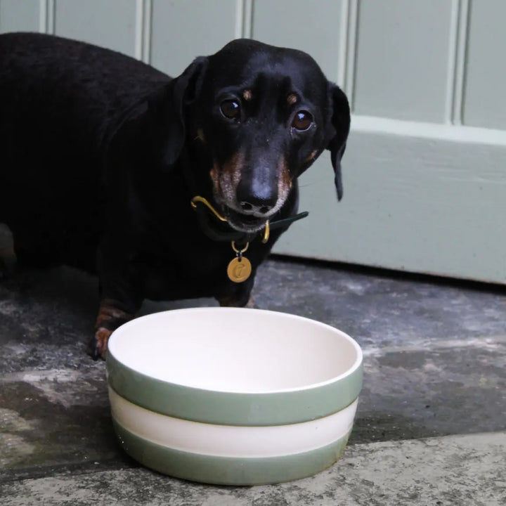 Cornishware Dog Bowl