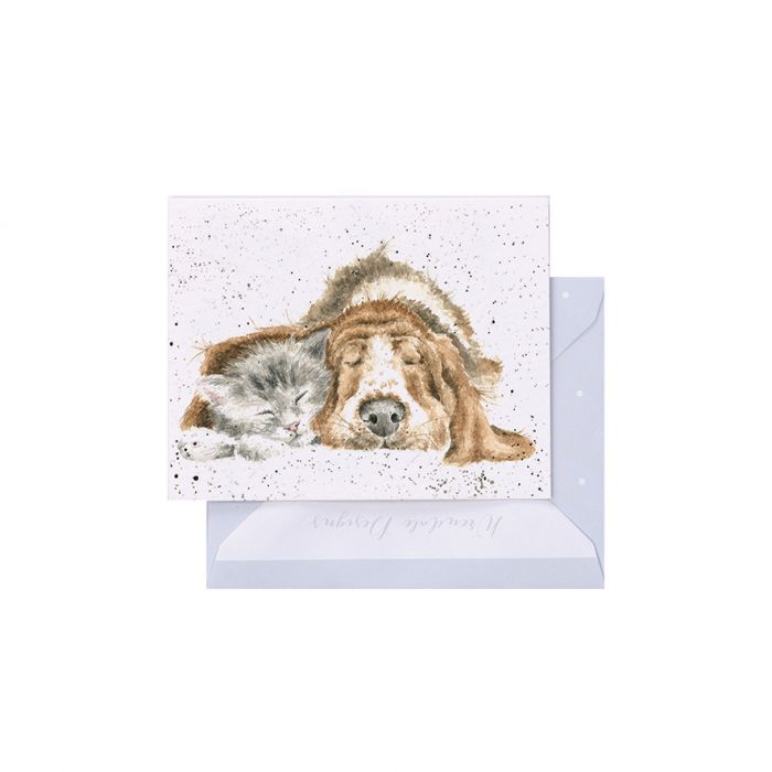 'Dog and Catnap' Bassett Hound and Cat Enclosure Card