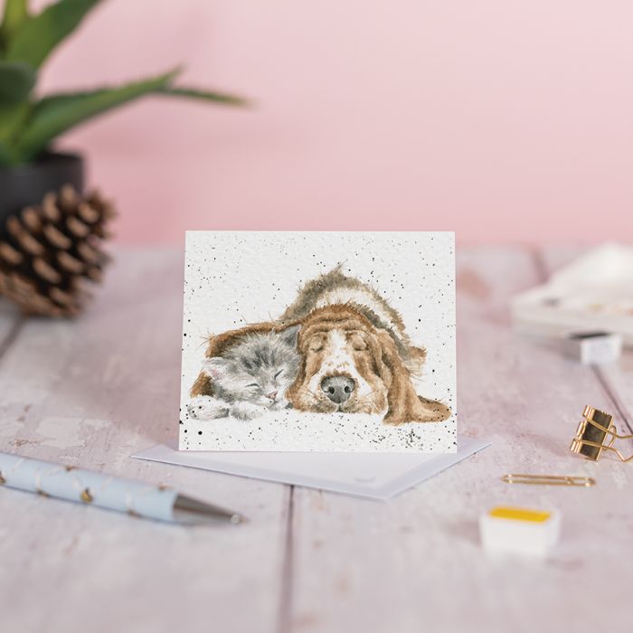 'Dog and Catnap' Bassett Hound and Cat Enclosure Card
