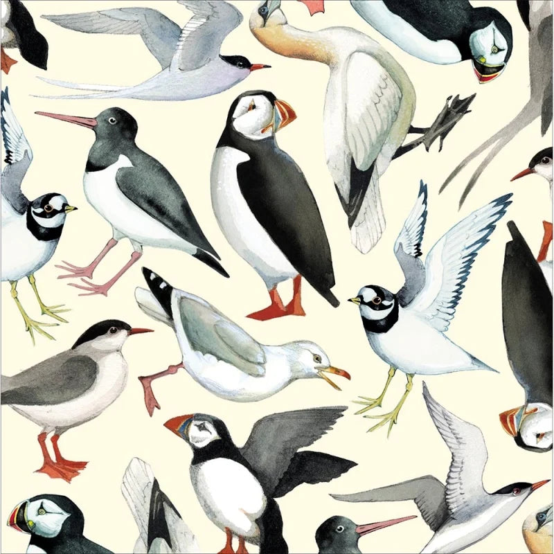 Emma Bridgewater Seabirds Card