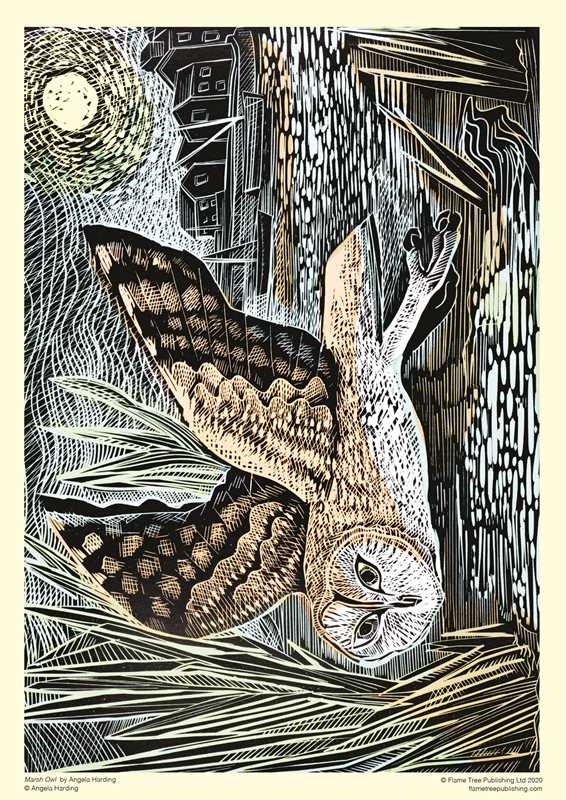Marsh Owl Adult Sustainable Jigsaw Puzzle by Angela Harding