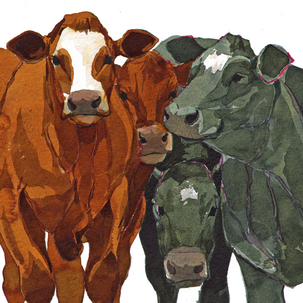 Fat Cattle Greetings Card
