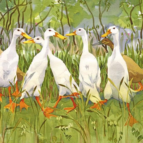 Foraging Greetings Card