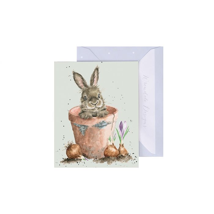 'Flower Pot Bunny' Rabbit Enclosure Card