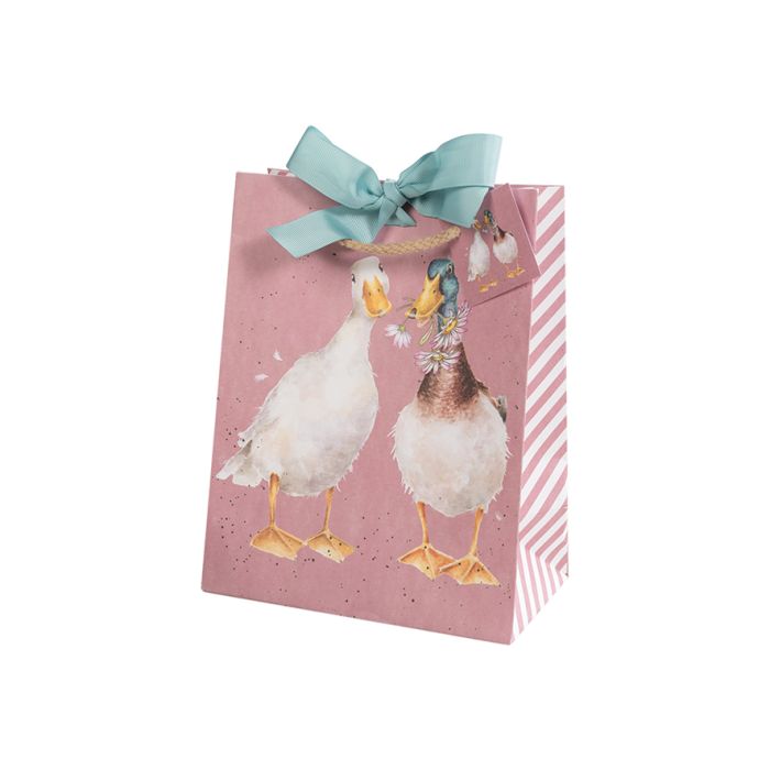 Medium Duck Gift Bag
