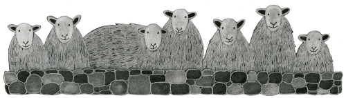 Herdwick Sheep Mug by Moorland Pottery