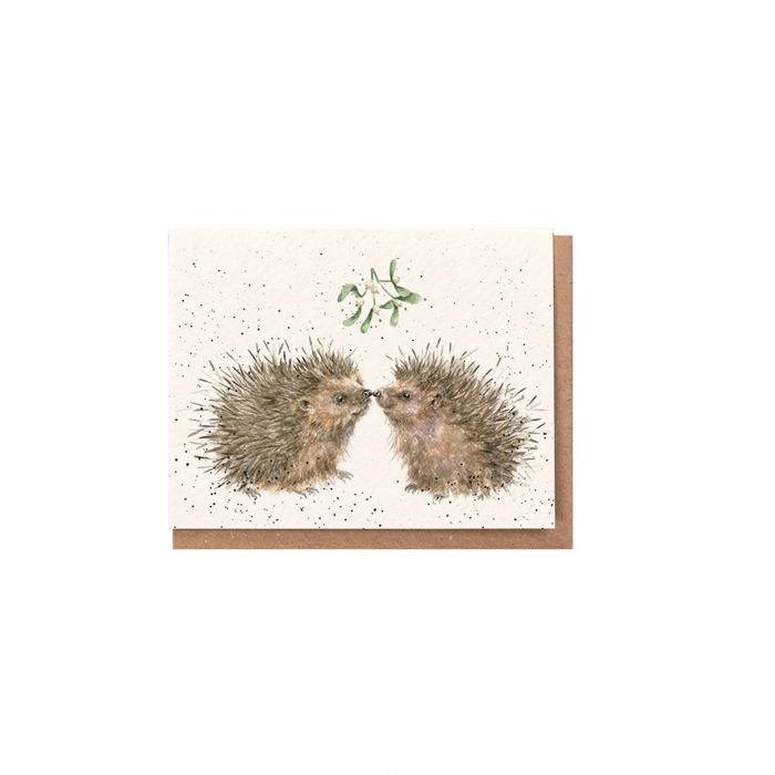 'Hogs and Kisses' Hedgehog Gift Enclosure Card