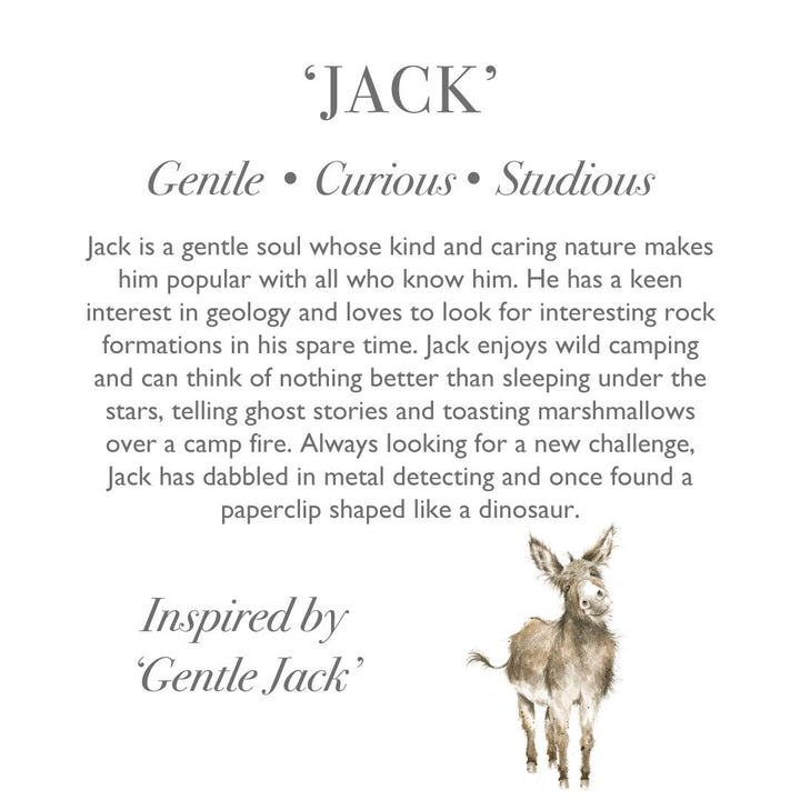 'Jack' Donkey Plush Character