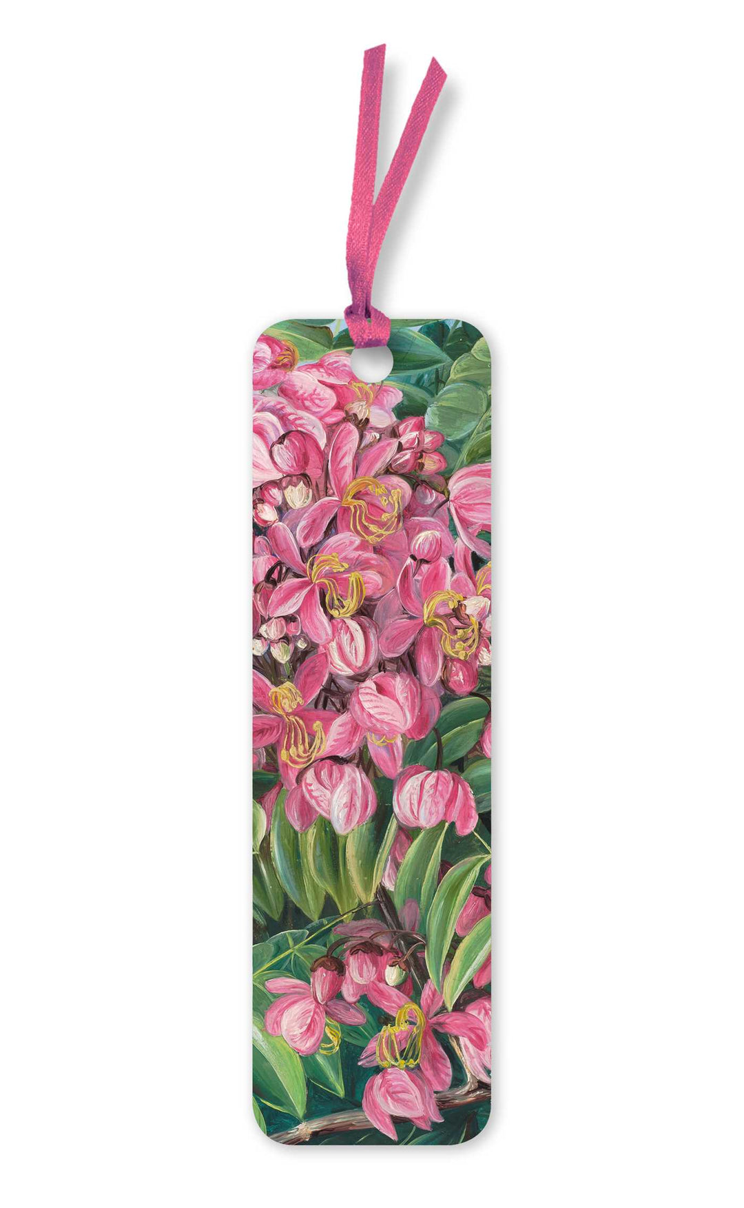Kew Gardens: Flowers of a Cassia Bookmark