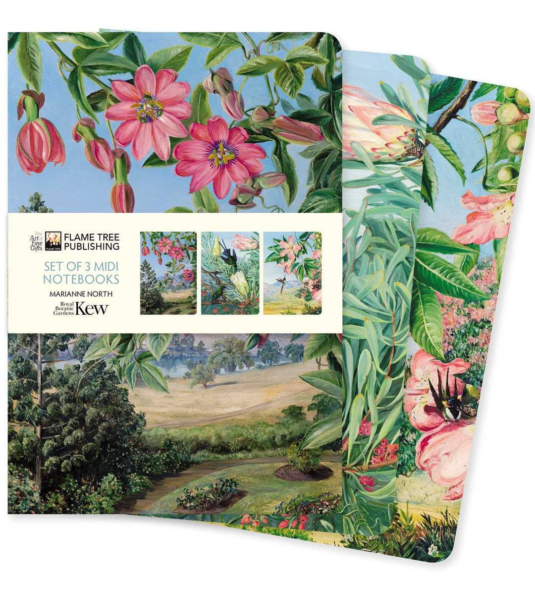 Royal Botanic Gardens' Kew: Marianne North Set of Three 5" x 7" Midi Notebooks