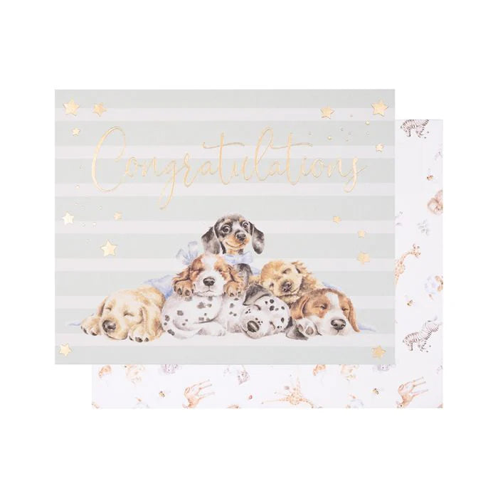 'Little Paws' Congratulations Greetings Card