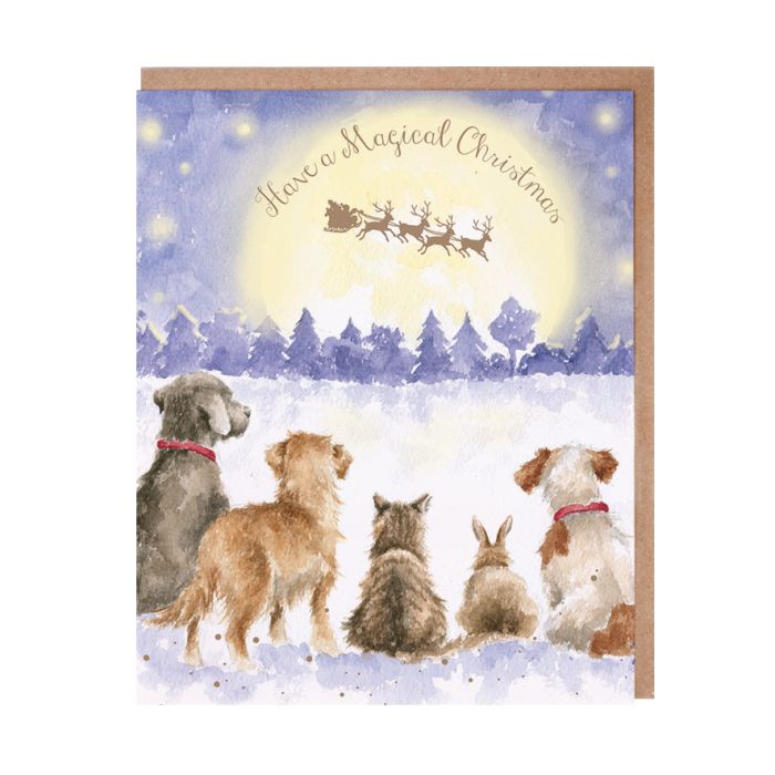 'Have A Magical Christmas' Christmas Greeting Card
