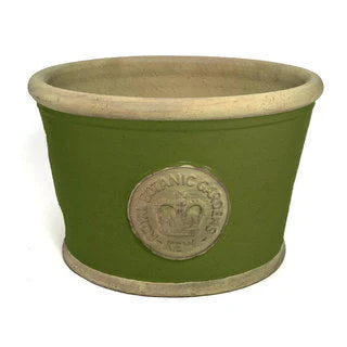 Windsor Kew Low Bowl -- Medium