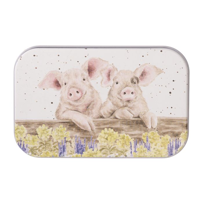 'Nosy Neighboars' Pig Mini Tin