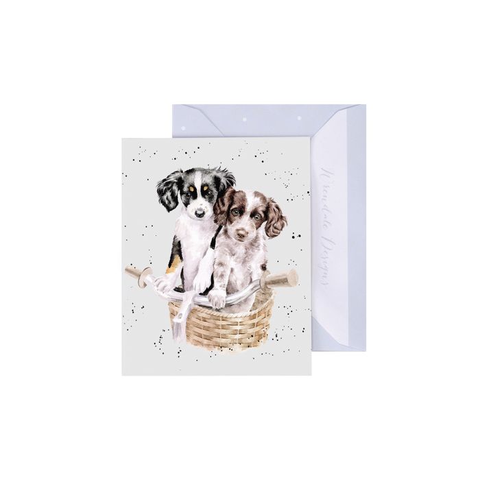 'Pedals and Paws' Ducks Gift Enclosure Card