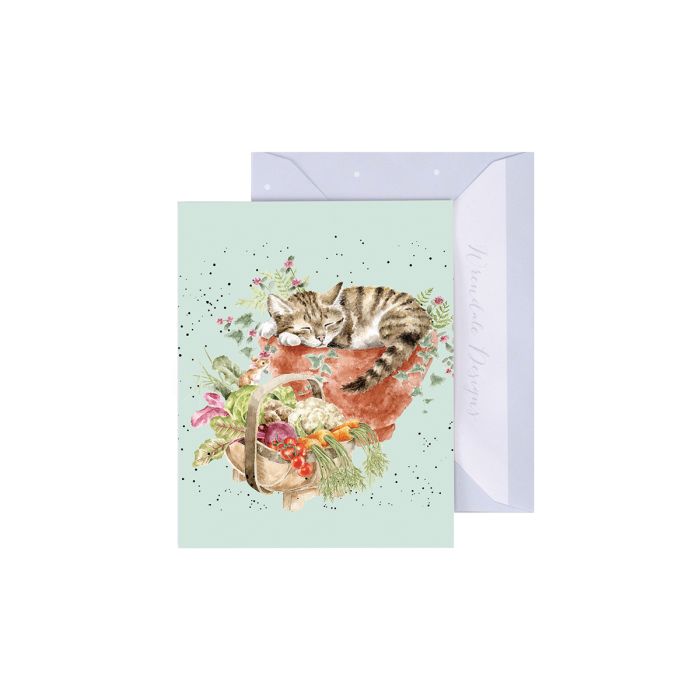 'Purrfect Day' Cat Gift Enclosure Card