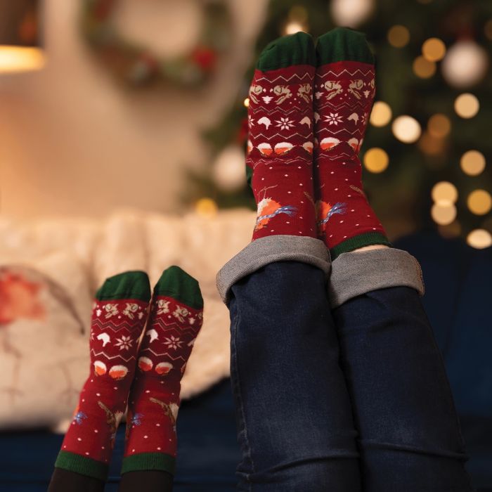 'Season's Tweetings' Robin Socks