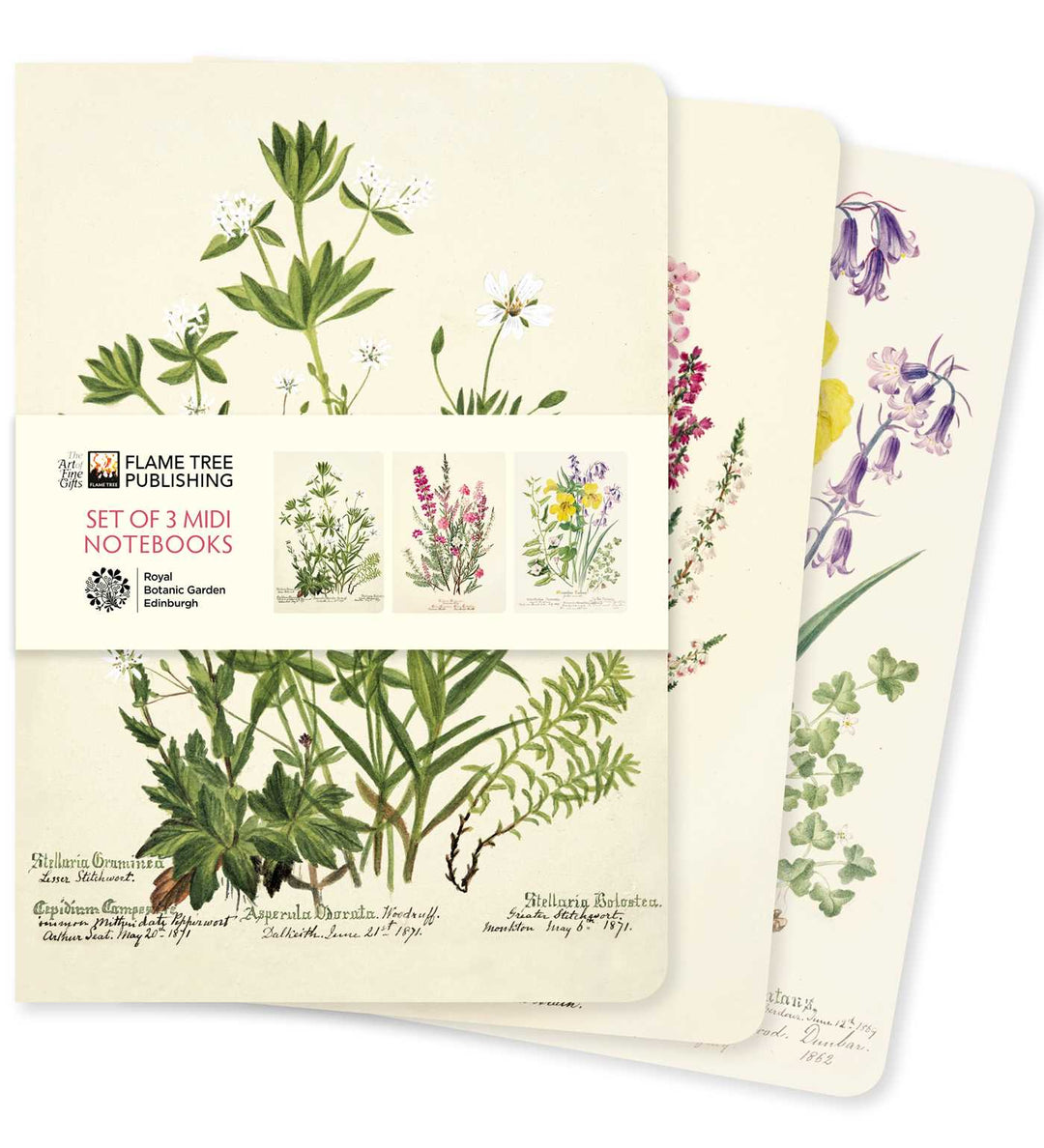 Royal Botanic Garden of Edinburgh Set of Three 5" x 7" Midi Notebooks