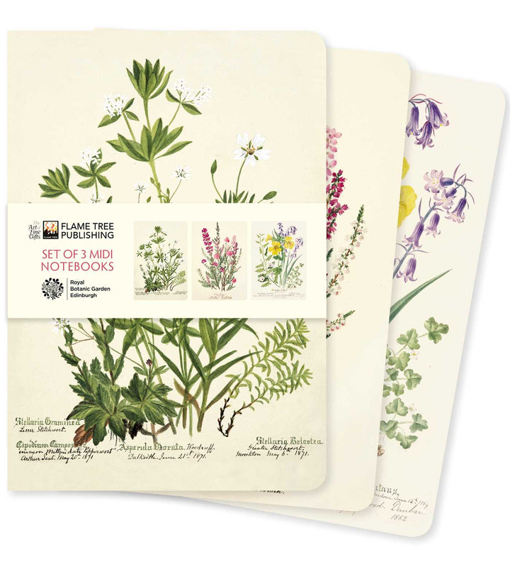 Royal Botanic Garden of Edinburgh Set of Three 5" x 7" Midi Notebooks