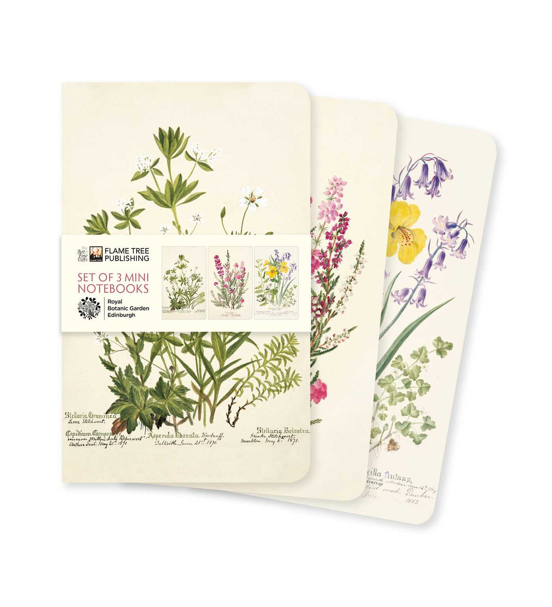 Royal Botanic Garden of Edinburgh Set of Three 3.5" x 5.75" Mini Notebooks