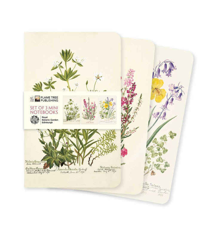 Royal Botanic Garden of Edinburgh Set of Three 3.5" x 5.75" Mini Notebooks