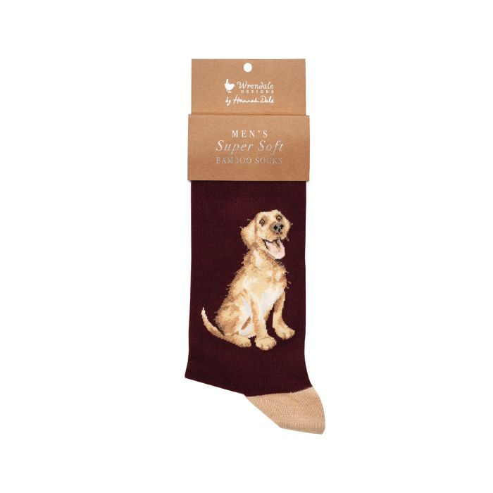 'Good As Gold' Golden Labrador Men's Socks