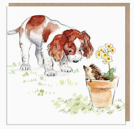 Spaniel with Hedgehog Greetings Card