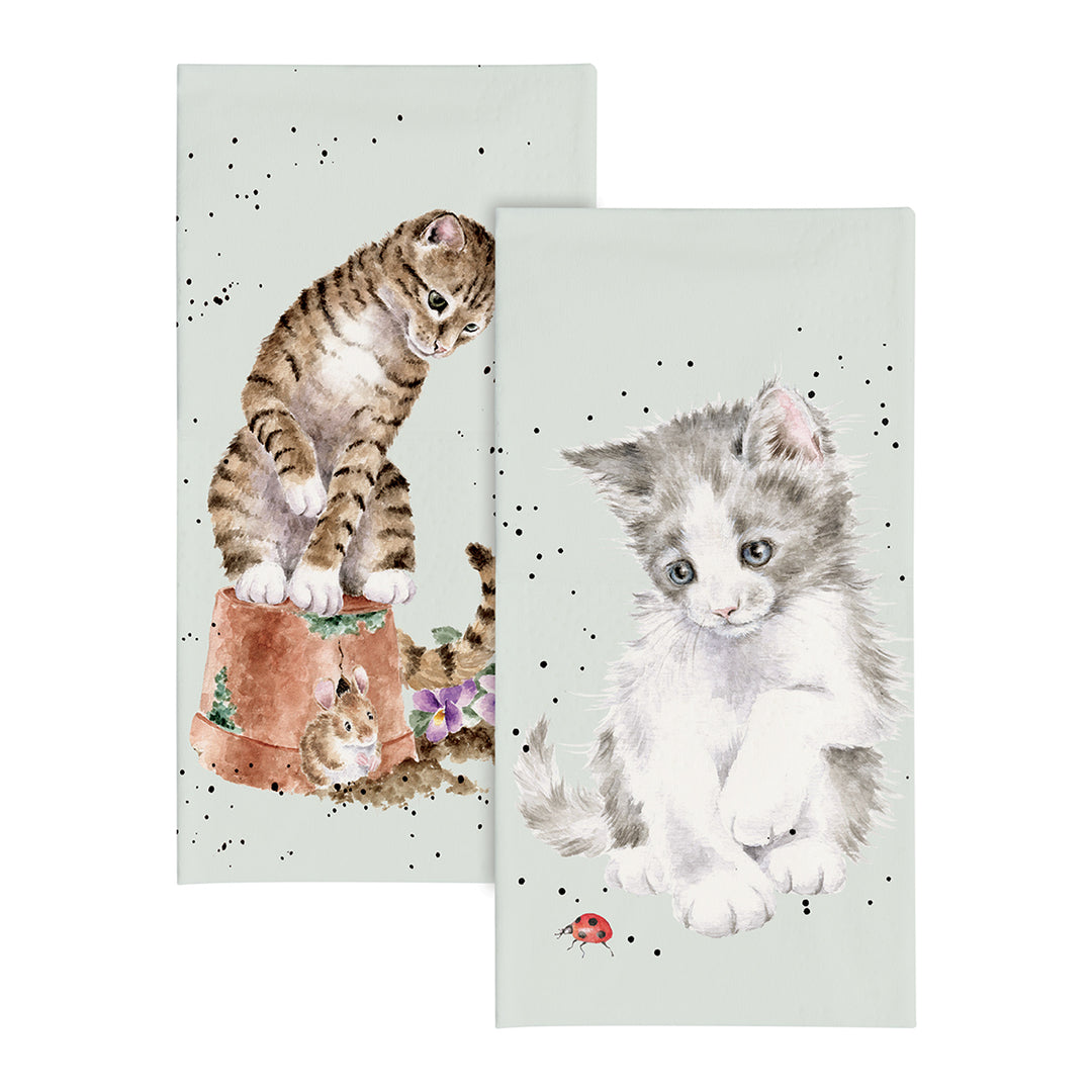 'Ladybird' Cat Pocket Tissues