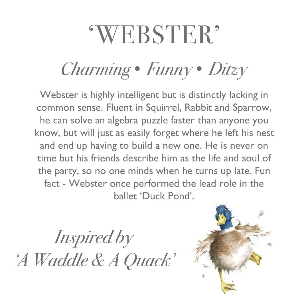 'Webster' Duck Plush Character