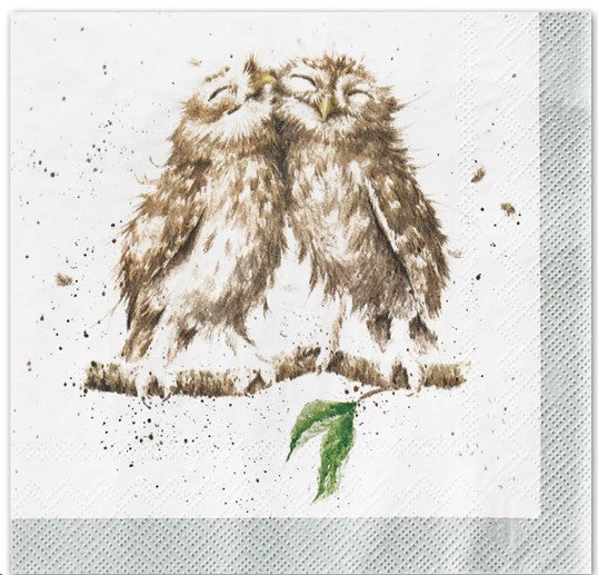 'What a Hoot' Owl Paper Napkins