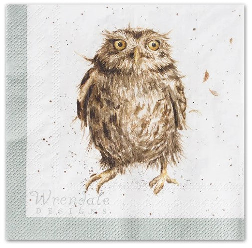 'What a Hoot' Owl Paper Napkins