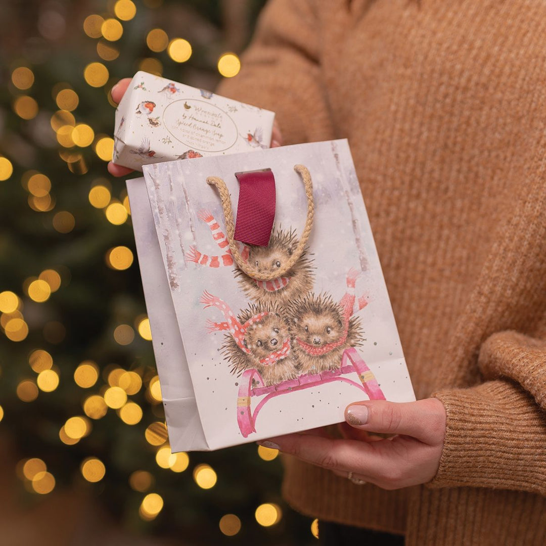 'Sledgehogs' Small Gift Bag