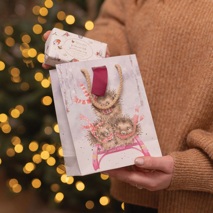 'Sledgehogs' Small Gift Bag