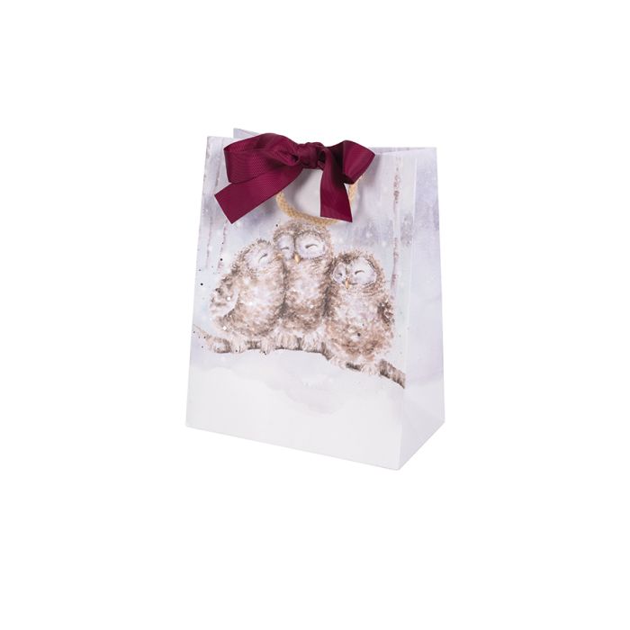 'Three Wise Men' Owl Trio Medium Gift Bag (9.05 x 7.09 x 3.15)