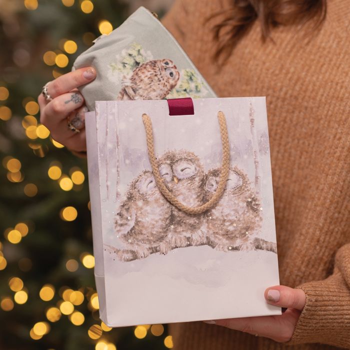 'Three Wise Men' Owl Trio Medium Gift Bag (9.05 x 7.09 x 3.15)