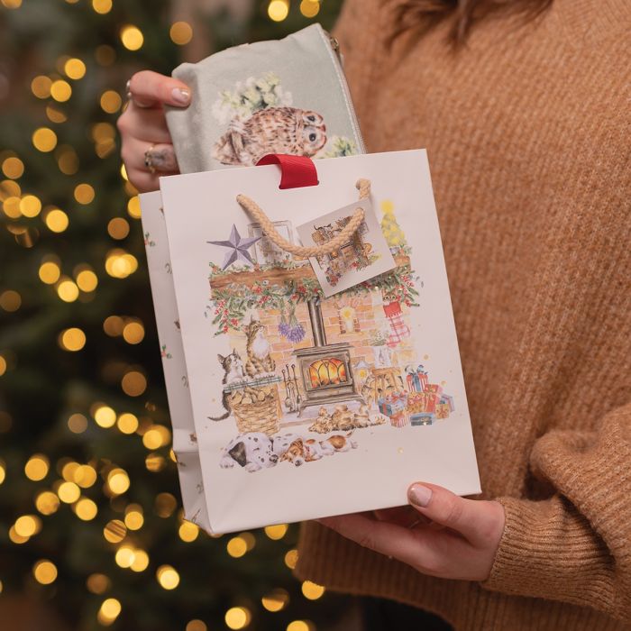 'By The Fireside' Cat and Dog Medium Gift Bag