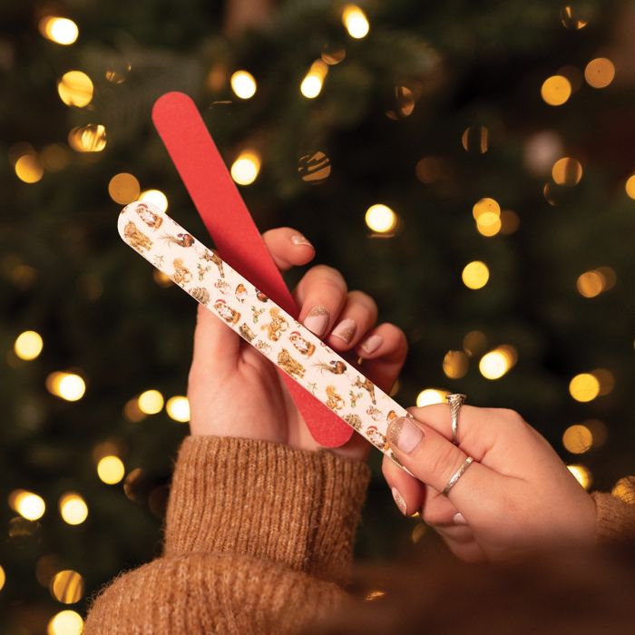 'Winter Woodland' Illustrated Nail File Set