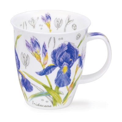 Nevis Floral Sketch Mugs