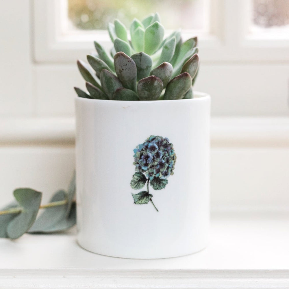 Hydrangea Bone China Pot by Toasted Crumpet.