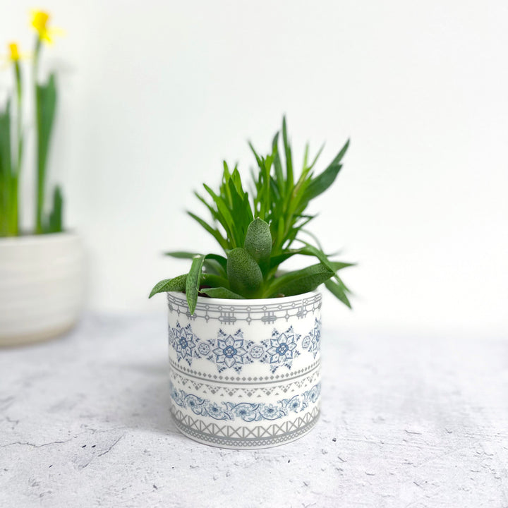 Alex Allday Safflower Ceramic Planter Pot/Tea Light Holder