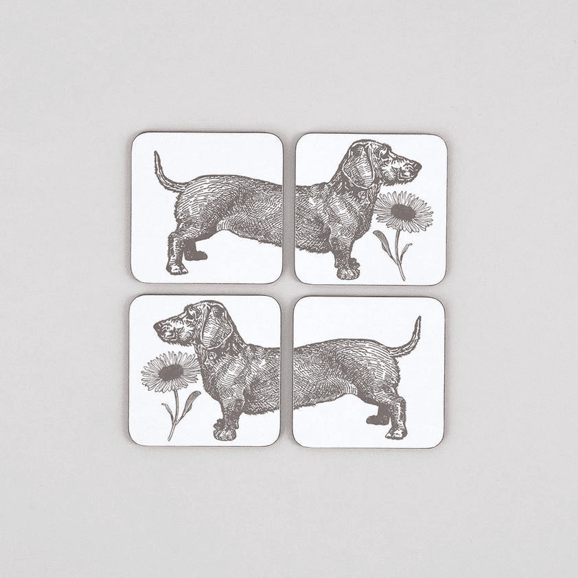 Dog and Daisy Set of 4 Coasters by Thornback and Peel.