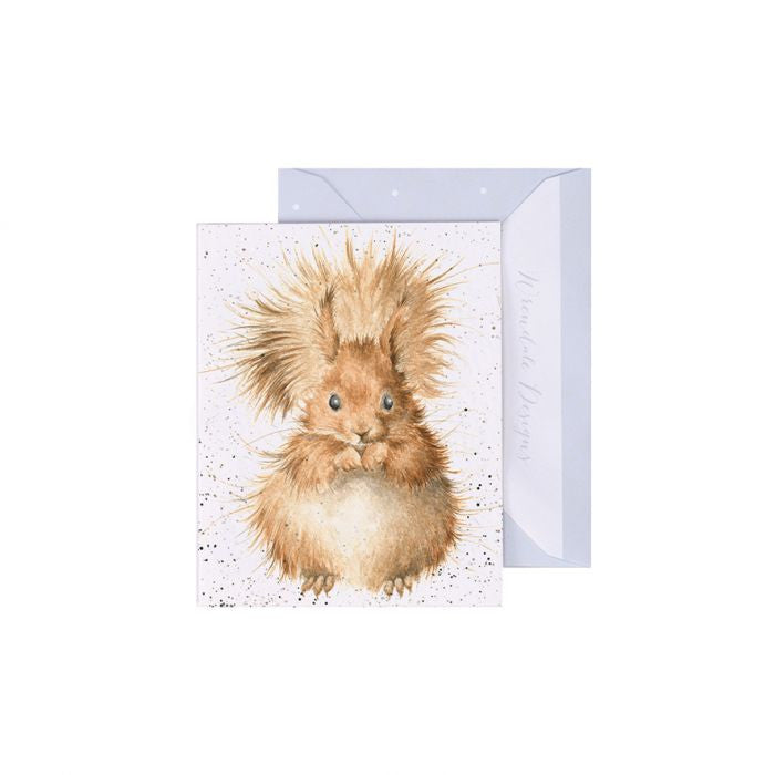 'Redhead' Squirrel Gift Enclosure Card by Wrendale Designs