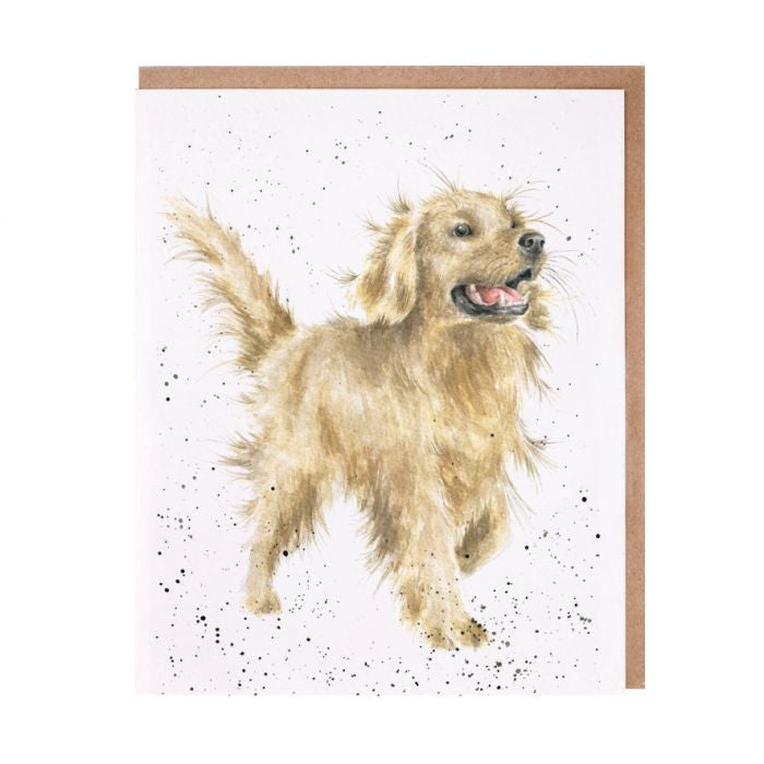 'Golden Boy' Blank Greetings Card by Hannah Dale for Wrendale Designs.