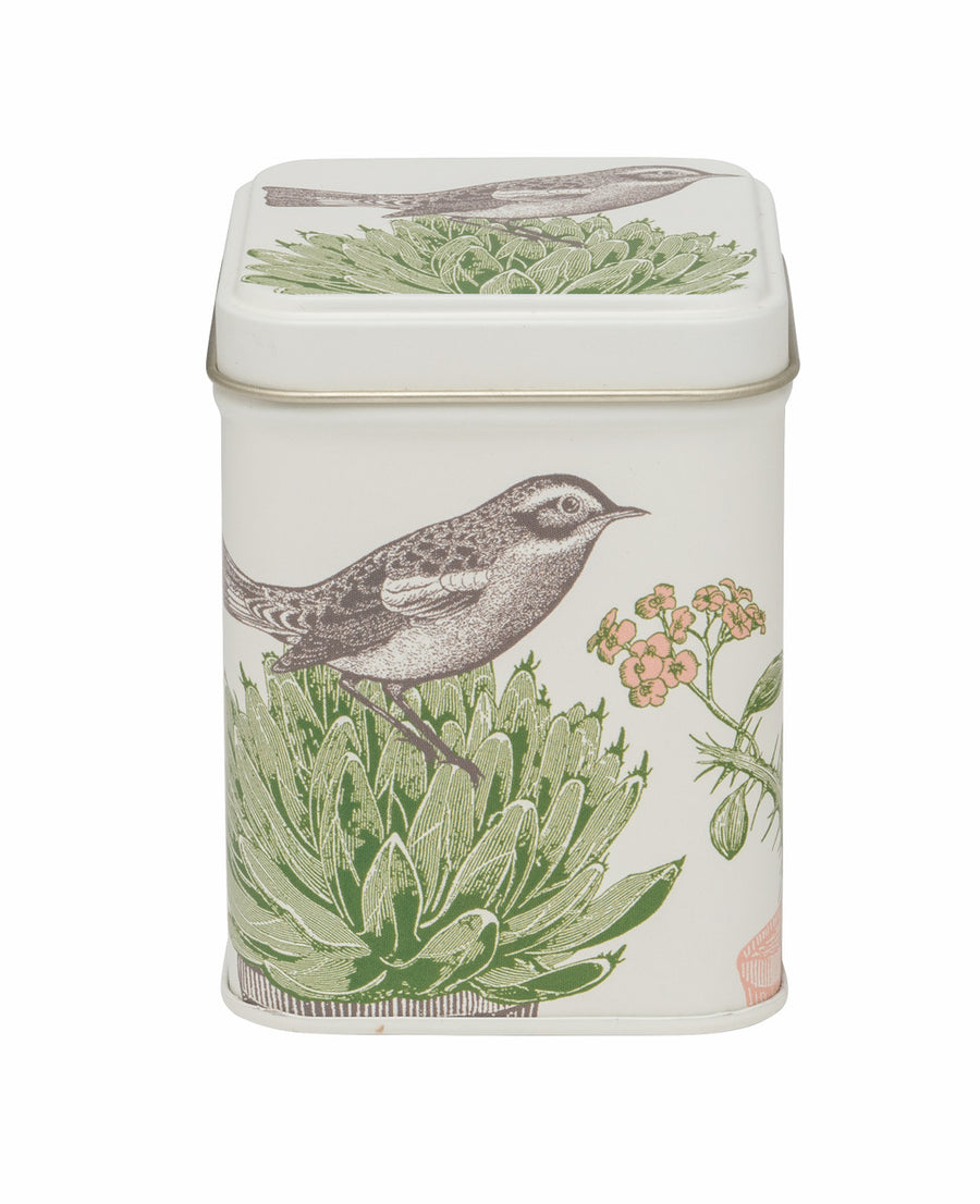 Thornback & Peel Cactus & Bird Mini Tea Tin