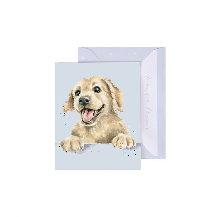 'Golden Boy' Labrador' Gift Enclosure Card by Wrendale Designs