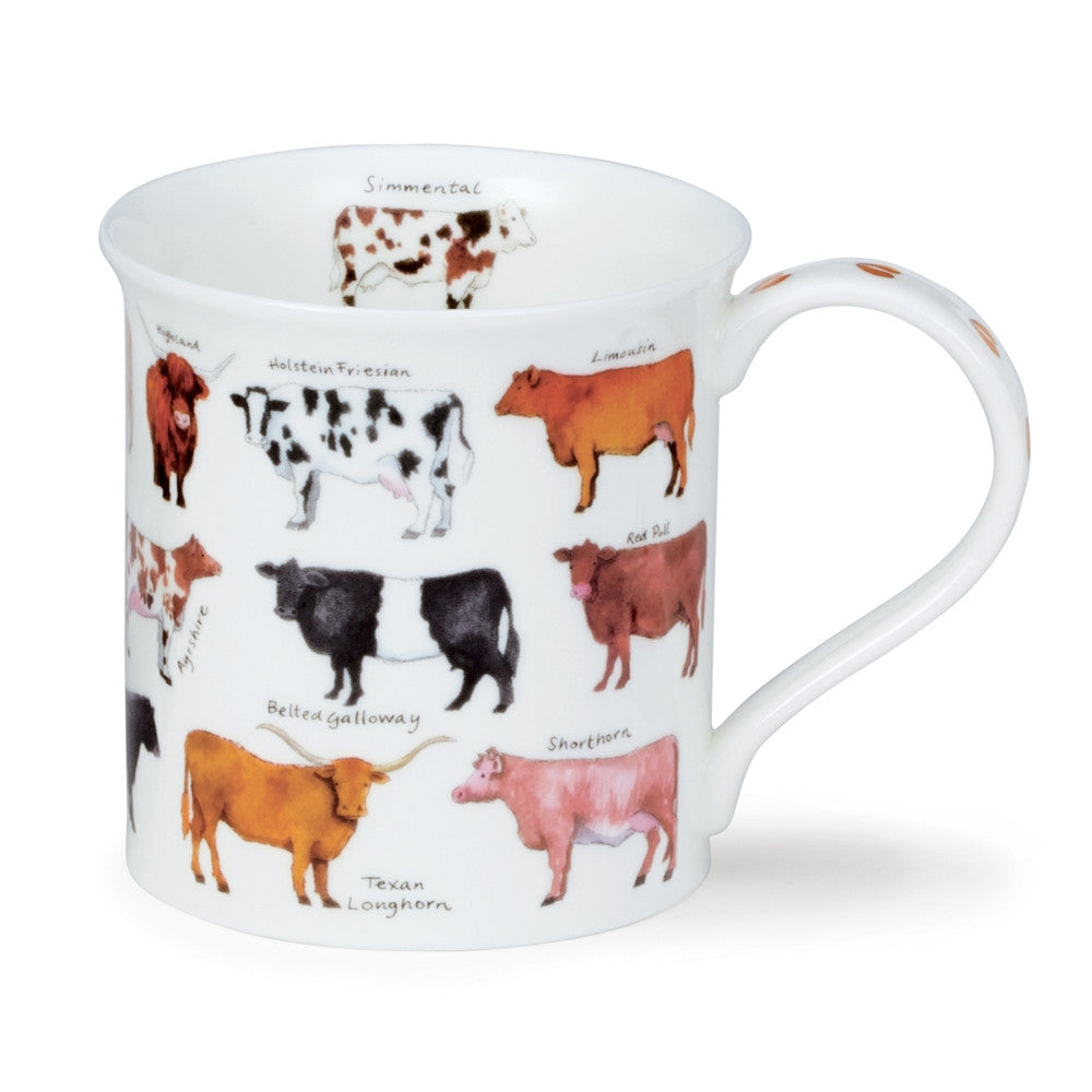 Dunoon bone china Bute Animal Breeds Mug - Cow. Handmade in England.