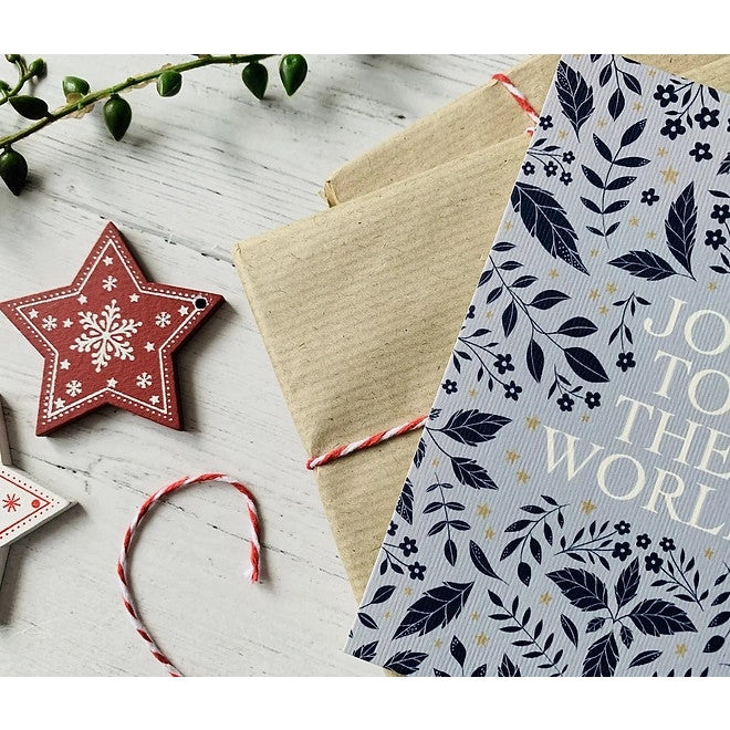Joy to the World Christmas card by Becky Amelia.