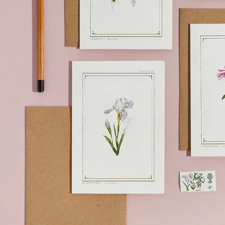 Iris - 'Botanical Archive: Everyday Edition' - card